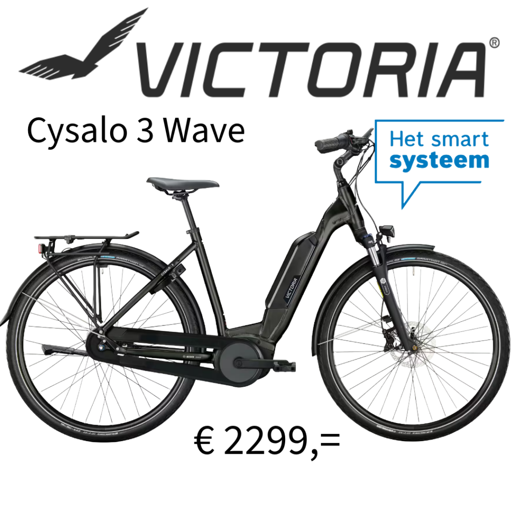 Victoria Cysalo 3 Wave